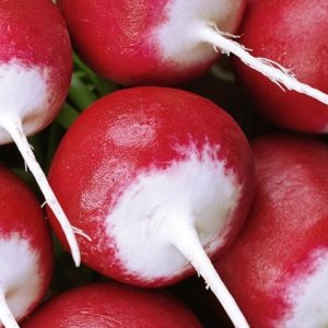 Rzodkiewka Caro 10g - WegAna