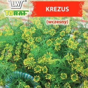 Koper Krezus nasiona 5g - TORAF