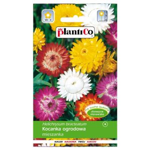 Kocanka ogrodowa mieszanka nasiona 1g - PlantiCo