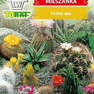 Kaktusy mieszanka 0,2g - TORAF