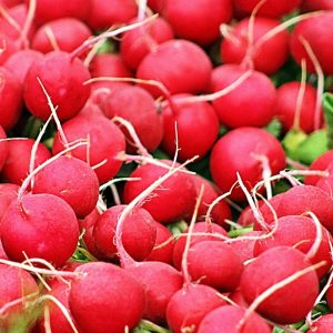 Rzodkiewka Carmesa nasiona 10g - TORAF