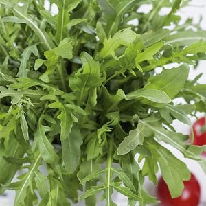 Rukola jednoroczna Eruca sativa 0,5g - WegAna