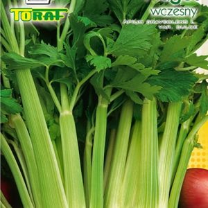 Seler Naciowy Nuget 0,5g - TORAF