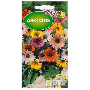 Arktotis mieszany Niedźwiedzie ucho nasiona 0,5g - POLAN