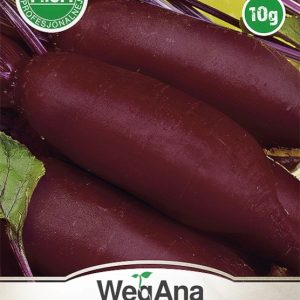 Burak ćwikłowy Alexis 10g - WegAna