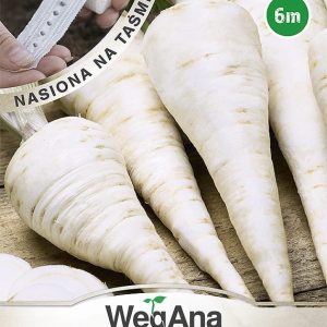 Pietruszka korzeniowa późna Hanacka nasiona na taśmie 6 m - WegAna
