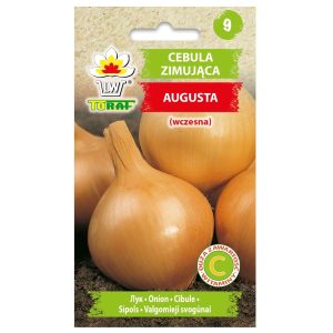 Cebula zimująca Augusta nasiona 2g - TORAF