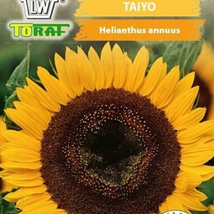 Słonecznik ozdobny Taiyo 2g - TORAF
