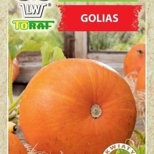 Dynia Golias 4g - TORAF