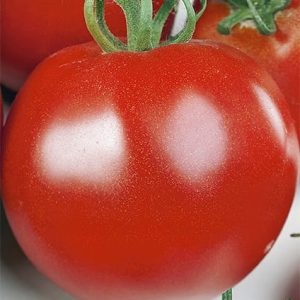Pomidor karłowy Hana 1g - WegAna
