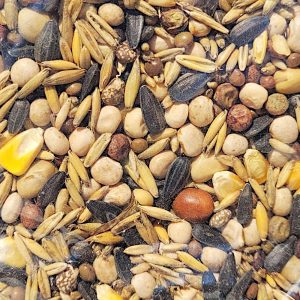 Mieszanka poplonowa strączkowo-paszowa MIX - 7 nasiona 1kg