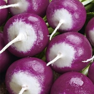 Rzodkiewka Diana 5g - WegAna