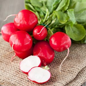 Rzodkiewka Carmen nasiona 50g - TORSEED