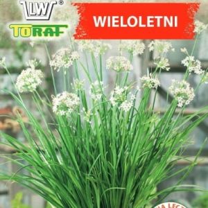 Szczypiorek Czosnkowy nasiona 1g - TORAF