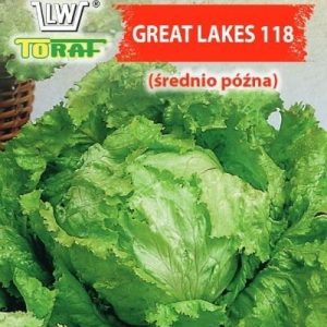 Sałata Great Lakes Krucha Lodowa 2g - TORAF