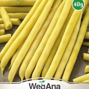 Fasola Berrgold Karłowa wczesna 40g - WegAna