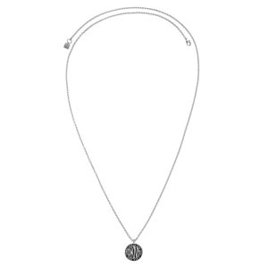 Biżuteria DKNY 5520025. Naszyjnik, Kolor szary. Kobieta.
