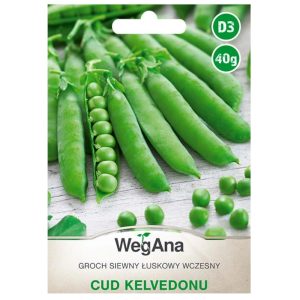 Groch siewny łuskowy Cud Kelvedonu nasiona 40g - WegAna