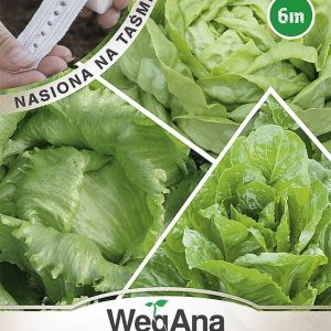 Sałata mieszanka odmian zielonych nasiona na taśmie 6 m - WegAna