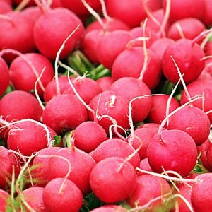 Rzodkiewka Carmen 10g - TORAF