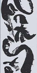 Kamień Shapton ROCK STAR [60317] do ostrzenia o gradacji 16000