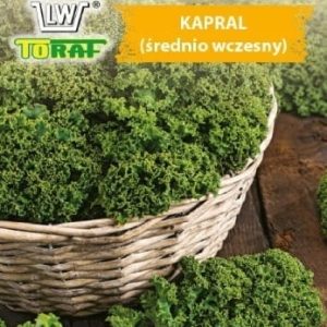Jarmuż Kapral 1g - TORAF
