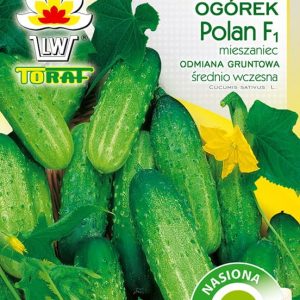 Ogórek Polan F1 nasiona na taśmie 7m - TORAF