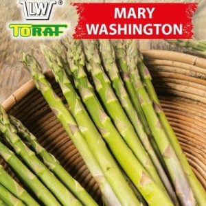 Szparag Mary Washington 2g - TORAF