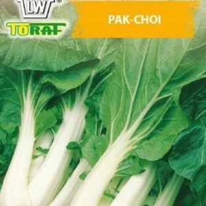 Kapusta Chińska Pak Choi 1g - TORAF