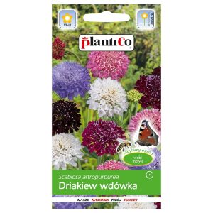 Drakiew wdówka mieszanka nasiona 0,5g - PlantiCo