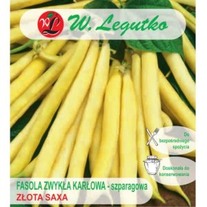 Fasola Zwykła Szparagowa Karłowa Złota Saxa nasiona 40g - W. Legutko