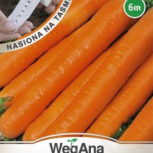 Marchew wczesna Naomi nasiona na taśmie 6 m - WegAna