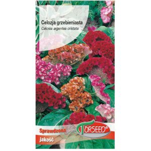 Celozja grzebieniasta mieszanka nasiona 0,5g - TORSEED