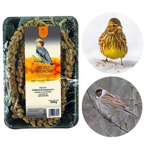 Proso senegalskie dla ptaków 200g naturalne ziarno do karmników i klatek - TURDUS
