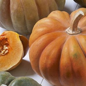 Dynia piżmowa Muscat de Provence 2g - WegAna