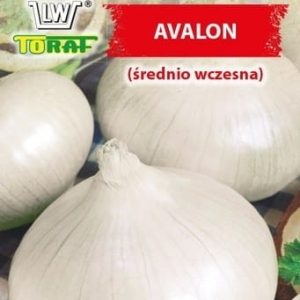 Cebula Avalon 3g - TORAF