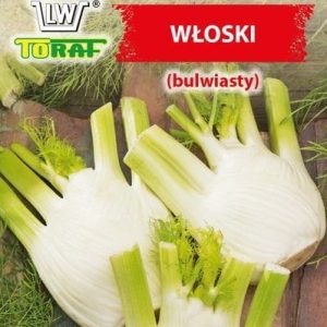 Koper Włoski Fenkuł nasiona 1g - TORAF