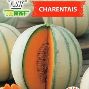 Melon Cukrowy Charentais 3g - TORAF