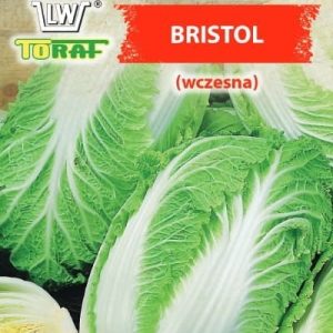 Kapusta Pekińska Bristol 1g - TORAF