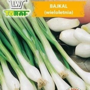 Cebula siedmiolatka szczypior Bajkal mrozoodporna 3g - TORAF