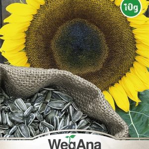 Slonecznik ogrodowy 10g - WegAna