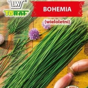Szczypiorek Bohemia nasiona 2g - TORAF