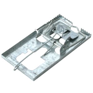 Silna metalowa łapka pułapka na myszy 1szt. - Bros