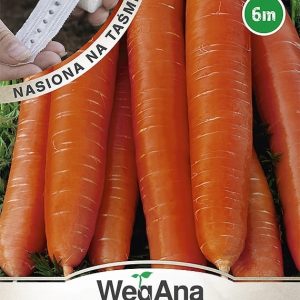 Marchew późna Darina nasiona na taśmie 6 m - WegAna