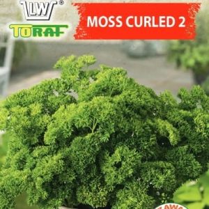 Pietruszka Moss Curled 2 nasiona 2g - TORAF
