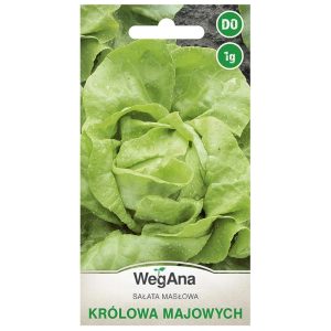 Sałata Królowa Majowych nasiona 1g - WegAna
