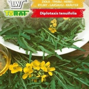 Rukola dzika 1g - TORAF