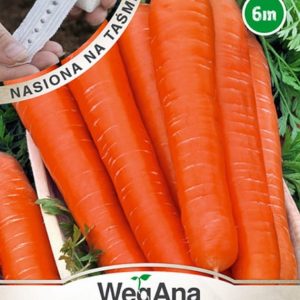 Marchew jadalna Karotela nasiona na taśmie 6 m - WegAna