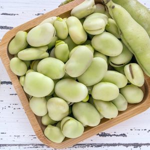 Bób Bartom nasiona 1000g - PlantiCo