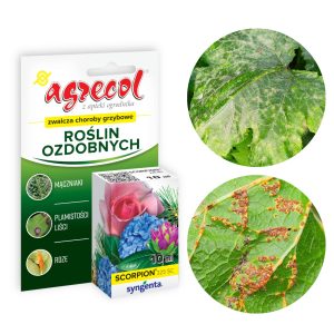 Scorpion 325 SC zwalcza choroby grzybowe roślin ozdobnych 10 ml - Agrecol